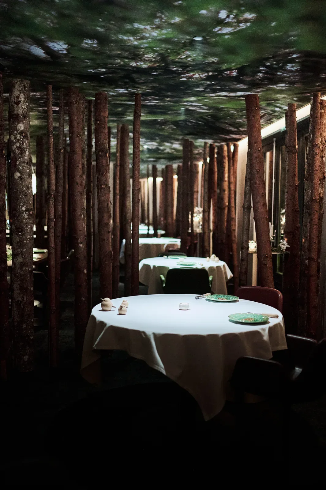 The forest in the dining room