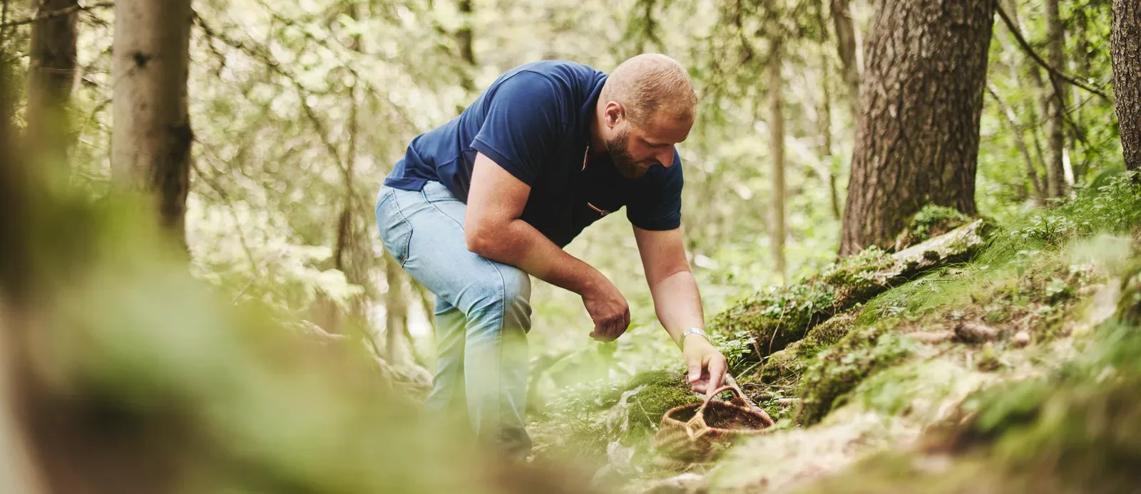 Foraging in the forest
