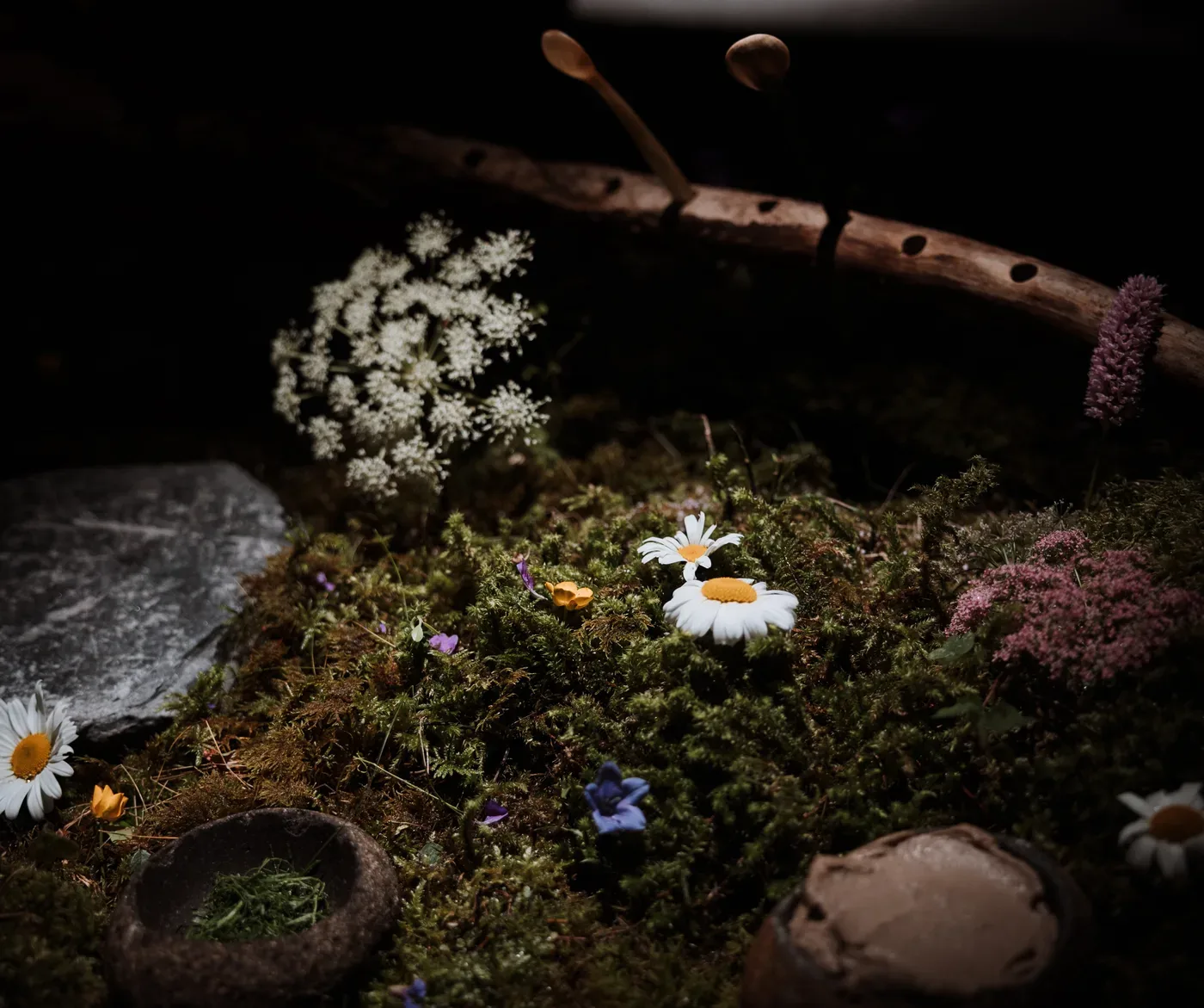 Moss from the forest décor